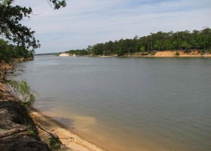 Carolina Beach Real Estate